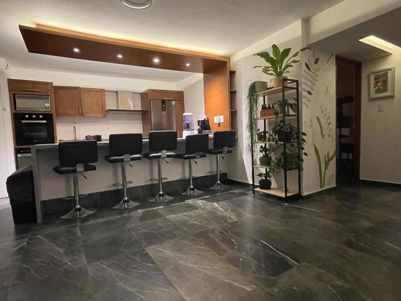 Great Apartment In The Heart Of Coyoacan 墨西哥城 外观 照片