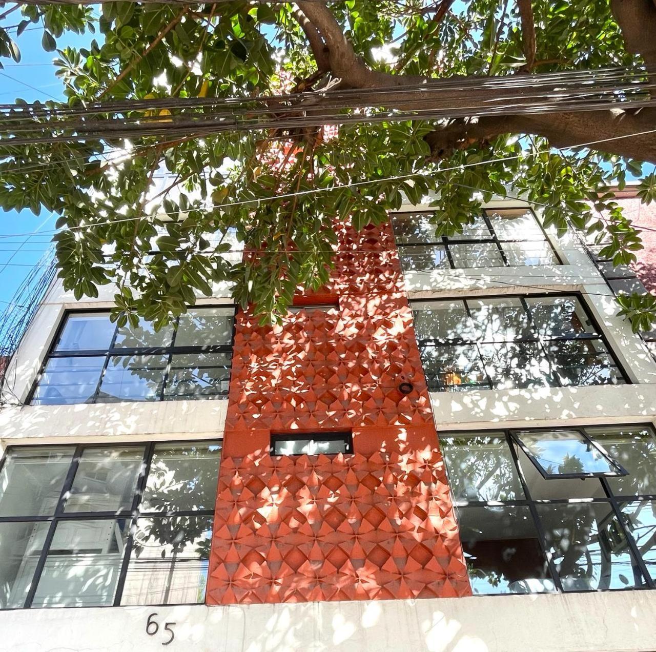 Great Apartment In The Heart Of Coyoacan 墨西哥城 外观 照片